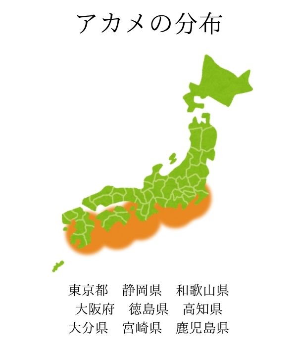 アカメが釣れる都道府県・地域（東京都・静岡県・和歌山県・大阪府・徳島県・高知県・大分県・宮崎県・鹿児島県）