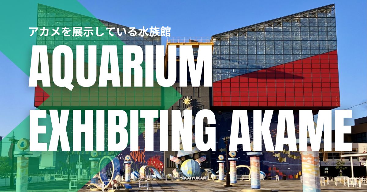 【日本三大怪魚】アカメが展示されている水族館7選！